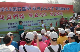 2013第五届中国网民文化节健步大赛成功举行
